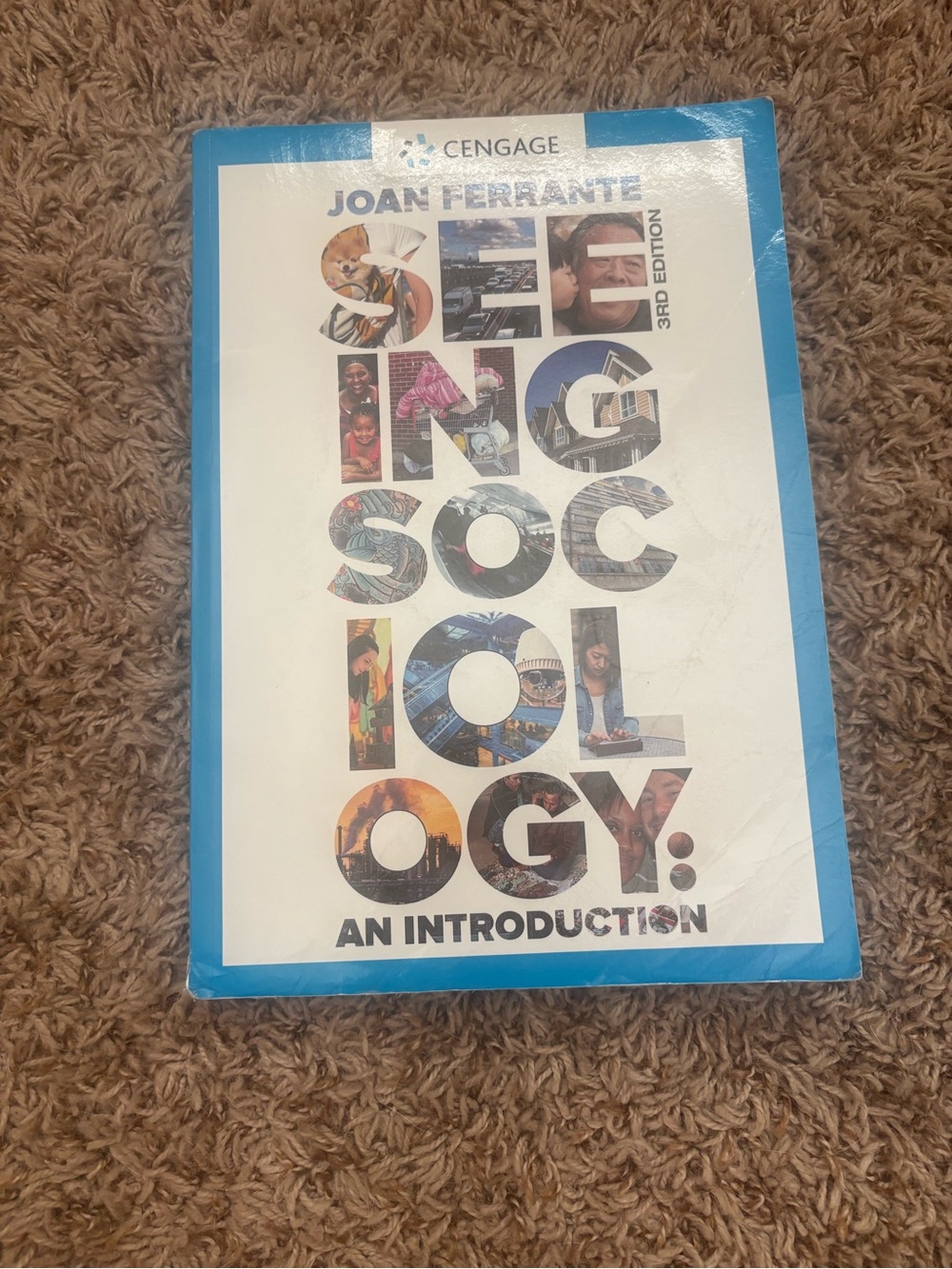 Cengage Joan Ferrante Sociology: An Introduction - Blue Accent Cover